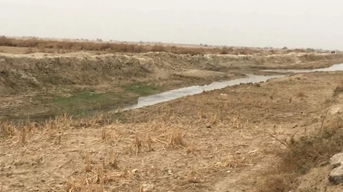 أنهار الجنوب تلفظ أنفاسها الأخيرة و”تسونامي عطش” يُهدد بانفجار شعبي